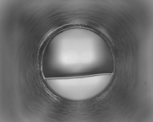 X0000052630927200507011030