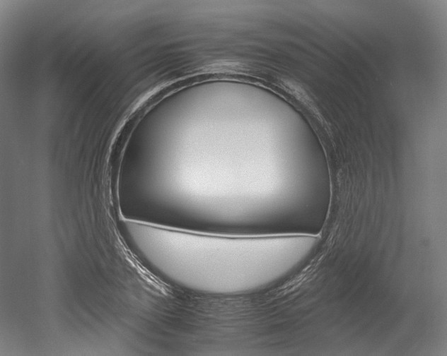 X0000052630931200507011030