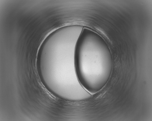 X0000052630932200507011030