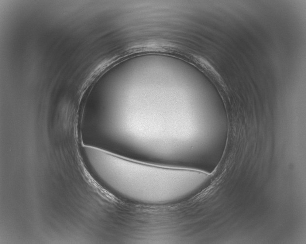 X0000052630938200507011030