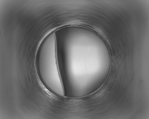 X0000052630939200507011030