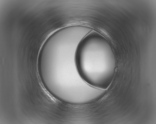 X0000052630940200507011030