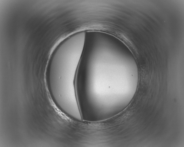 X0000052630944200507011030