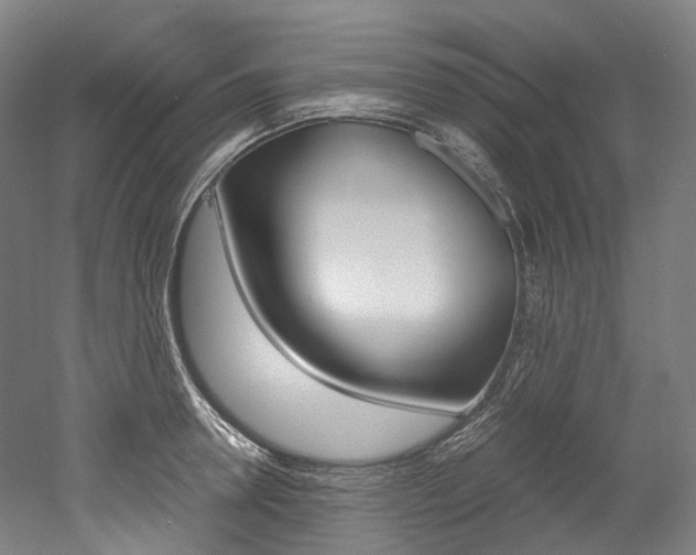 X0000052630946200507011030