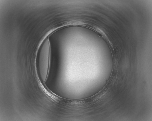 X0000052630947200507011030