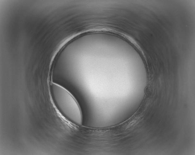 X0000052630951200507011030