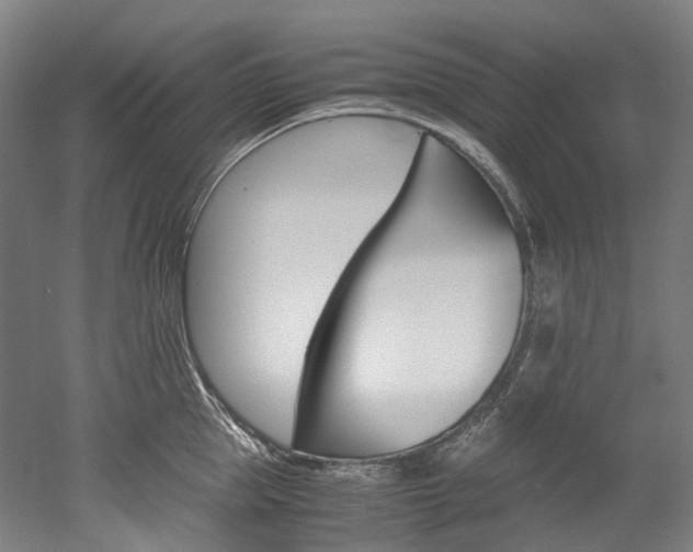 X0000052630953200507011030