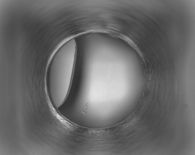 X0000052630955200507011030