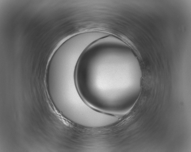 X0000052630956200507011030