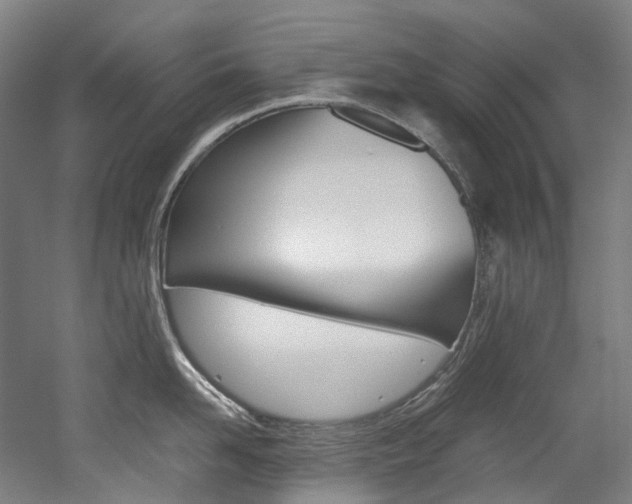 X0000052630958200507011030