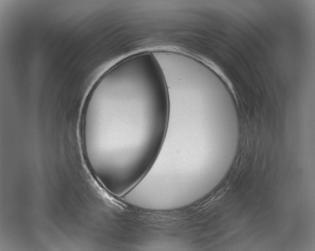 X0000052630959200507011030
