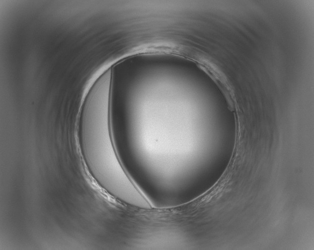 X0000052630960200507011030