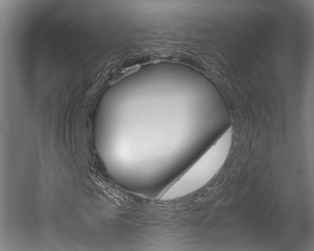X0000052630961200507011029
