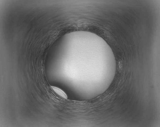 X0000052630963200507011029