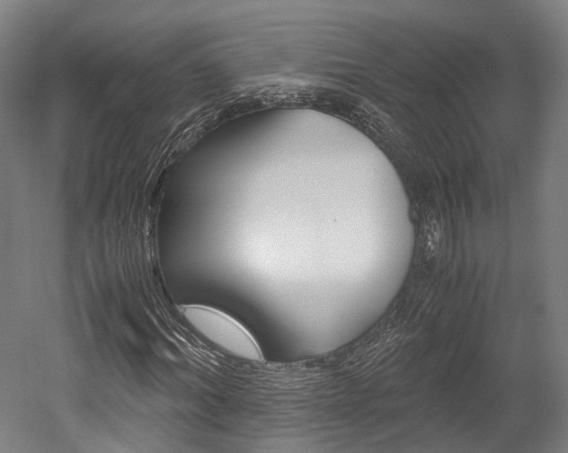 X0000052630964200507011029