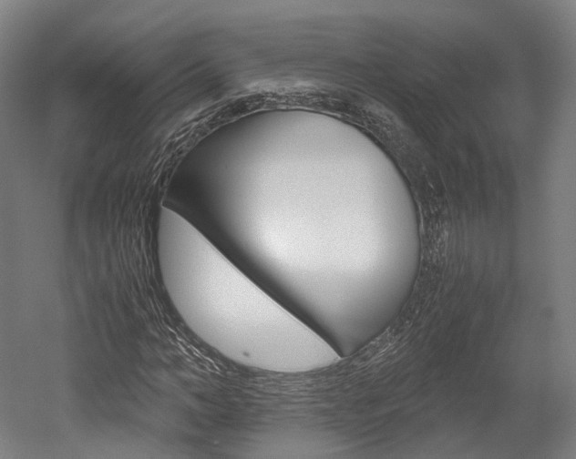 X0000052630966200507011029
