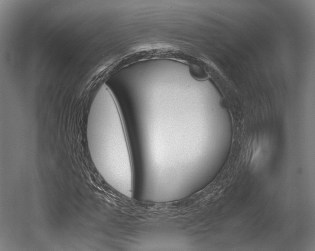X0000052630967200507011029