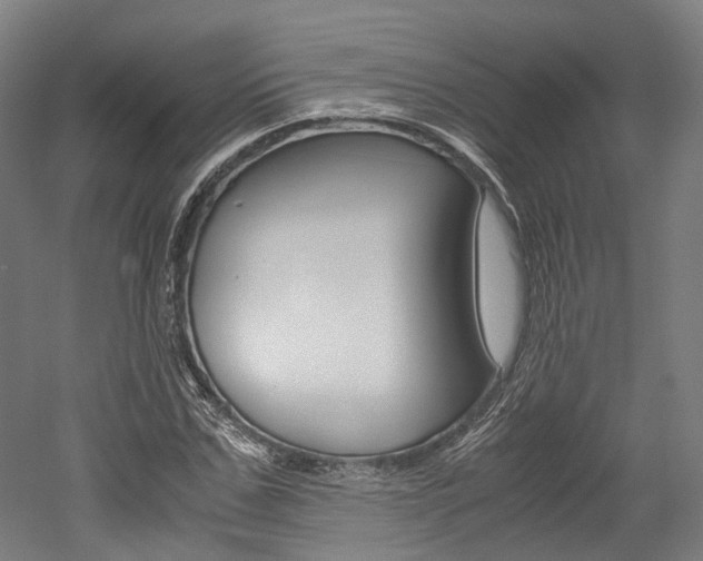 X0000052630971200507011029