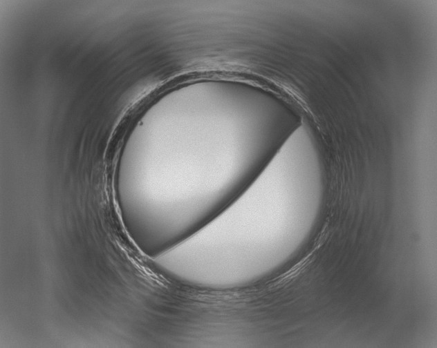 X0000052630974200507011029