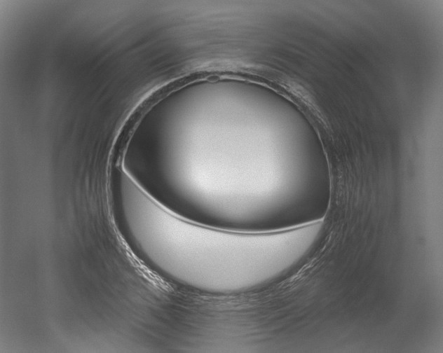 X0000052630976200507011029