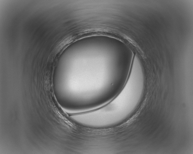 X0000052630977200507011029
