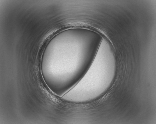 X0000052630979200507011029