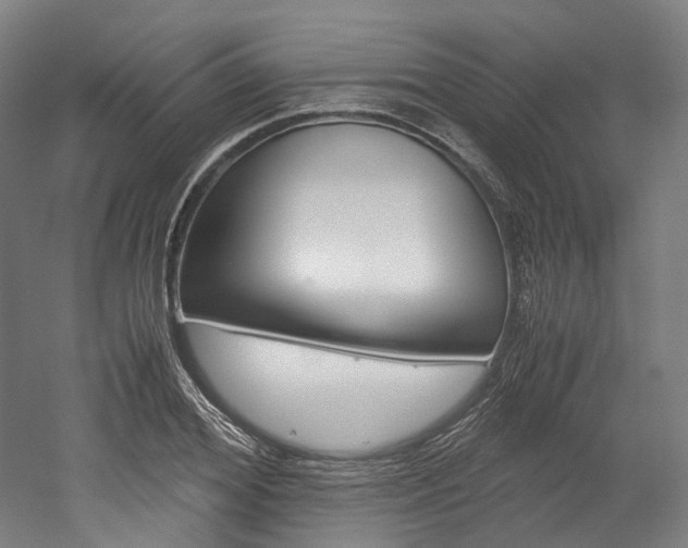 X0000052630980200507011029