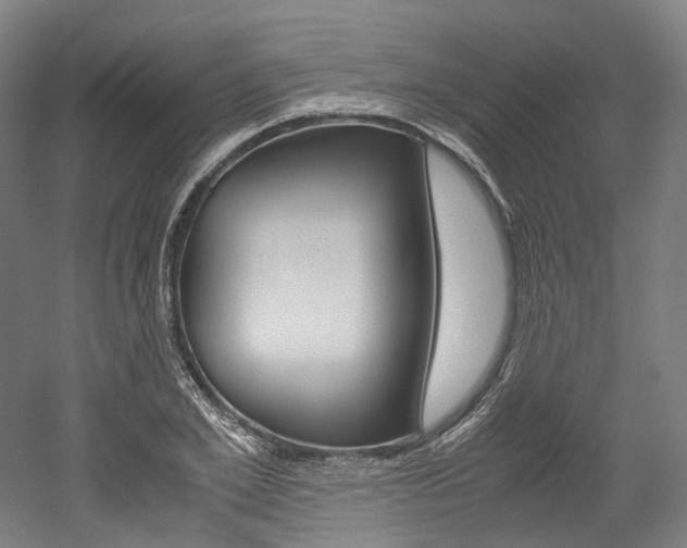 X0000052630981200507011029