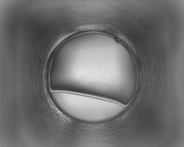 X0000052630983200507011029
