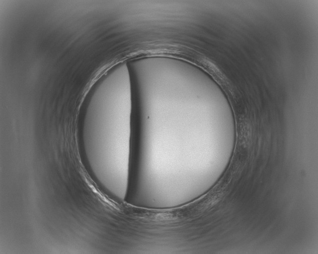 X0000052630986200507011029