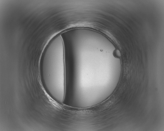 X0000052630988200507011029