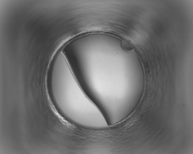 X0000052630991200507011029