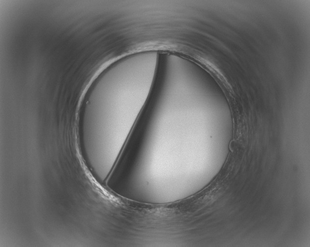 X0000052630992200507011029