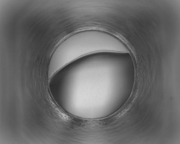 X0000052630993200507011029