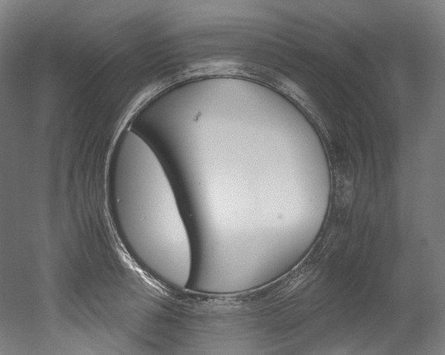 X0000052630994200507011029