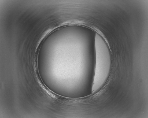 X0000052630997200507011029