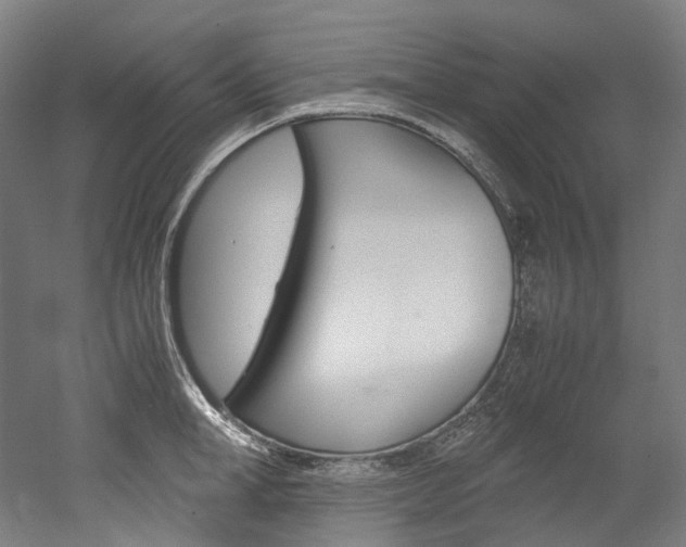 X0000052630998200507011029