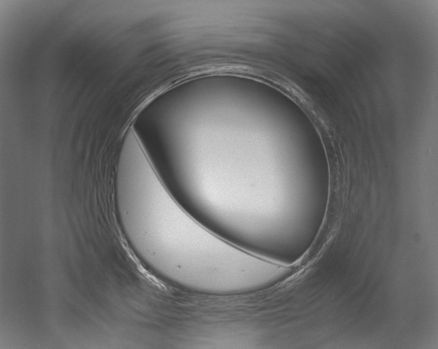 X0000052631001200507011029