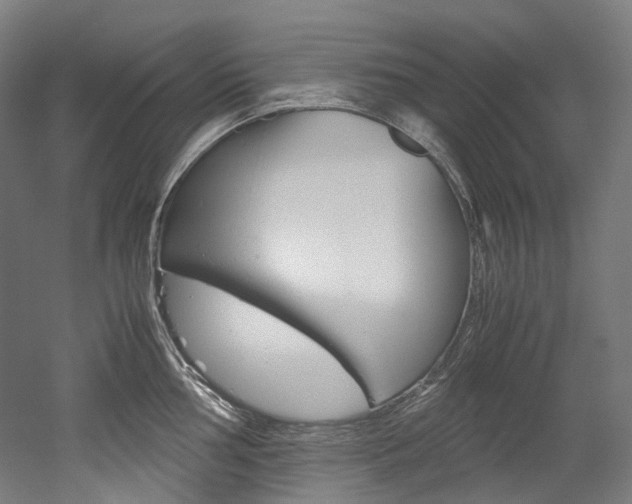 X0000052631002200507011029