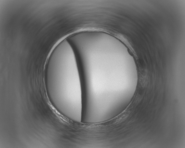 X0000052631004200507011029