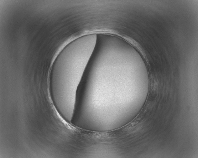 X0000052631006200507011029