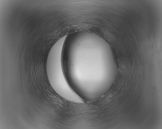 X0000052631010200507011028