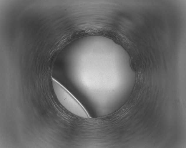 X0000052631012200507011028