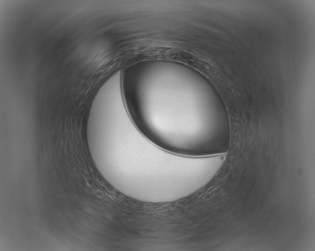 X0000052631013200507011028