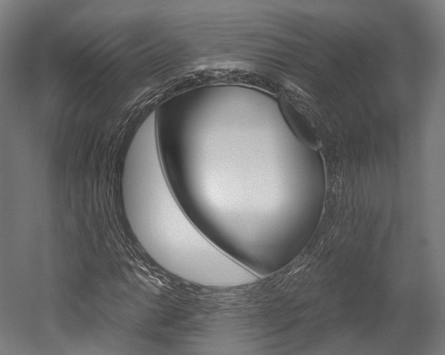 X0000052631014200507011028