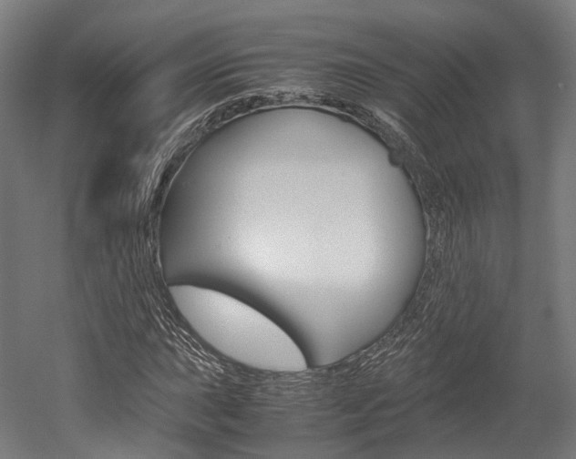 X0000052631015200507011028