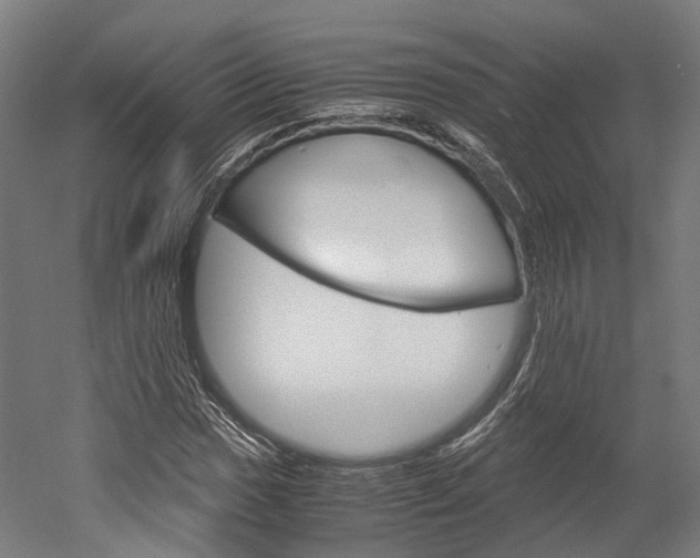 X0000052631017200507011028