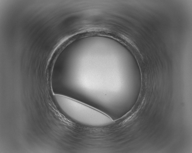 X0000052631021200507011028