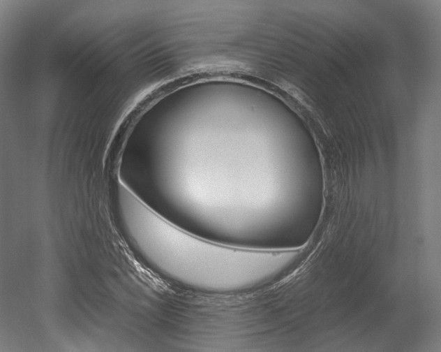 X0000052631022200507011028