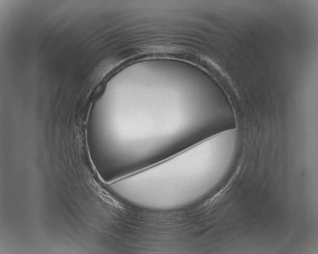 X0000052631025200507011028